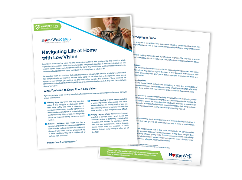Low-Vision-Trusted-Tip
